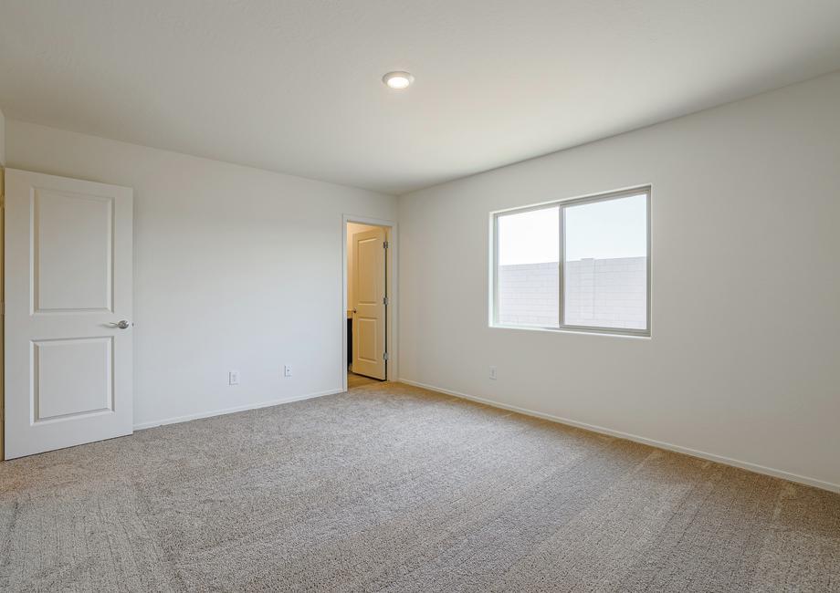 Master bedroom with incredible windows, allowing for lots of natural lights, and tan carpet.