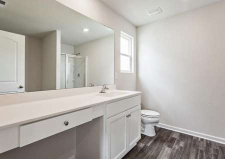 Master bathroom with vinyl flooring and a walk-in shower.