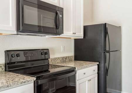 Alexander kitchen with light color granite counters, black appliances, and white cabinetry