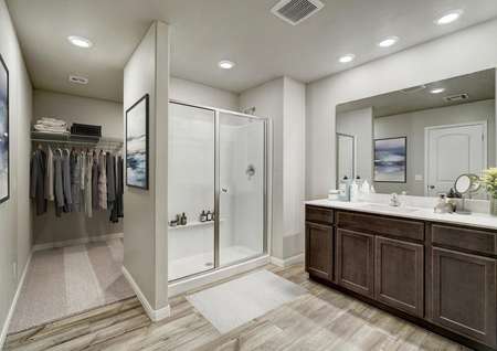 Staged master bath with a walk-in closet and large shower.