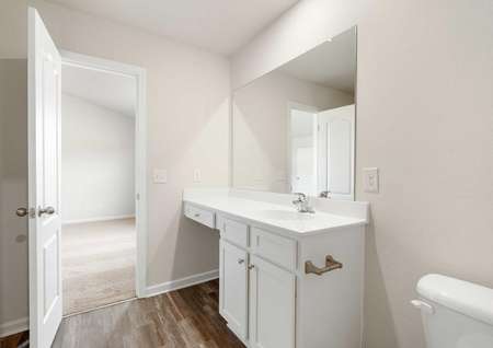 Master bathroom with vinyl flooring, white cabinetry and large vanity.