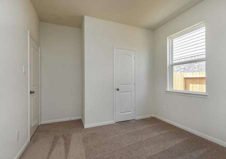 Maple bedroom with walk-in closet, large window with white frame, and dark brown carpet