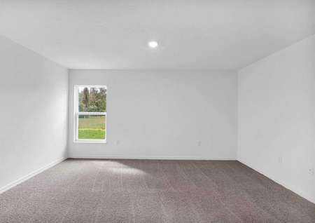 Spare bedroom with carpeted floors and plenty of natural light entering through the window. 