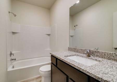 Guest bathroom with granite countertops and a dual shower and bathtub.