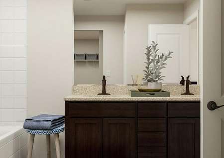 Rendering of the master bathroom focused
  on the double-sink vanity with brown cabinets. The shower is visible ot the
  left.