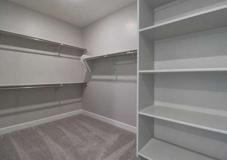 Bartlett walk-in closet with clothes hanging rods, storage shelves, and carpeted floor