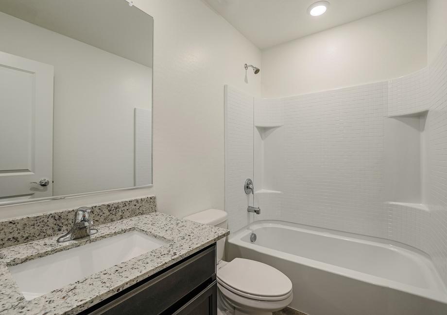 Bathroom with granite counters and a dual shower and bathtub.