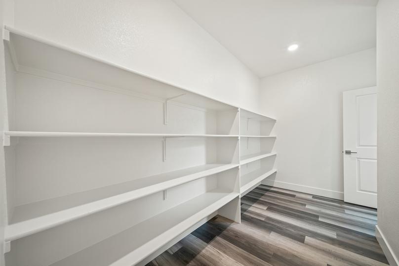 Large walk-in pantry with shelving, wood floors, and recessed lighting.