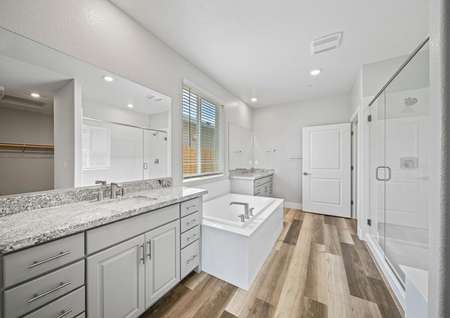 Master bathroom with two vanity areas, a soaking tub, and a walk-in shower.
