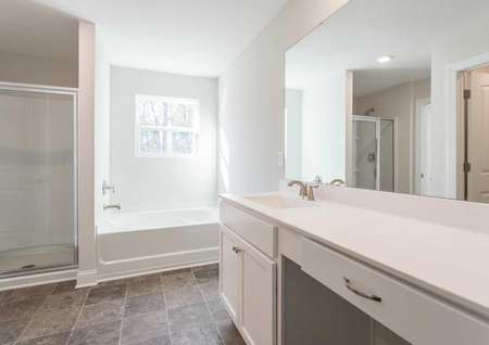 Master bathroom with soaker tub and walk-in shower.