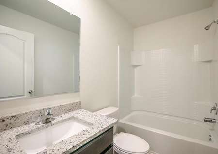 Bathroom with granite countertops and a dual shower and bath tub.