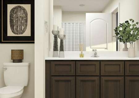 Rendering of a full bath with sink, brown
  cabinet vanity, white toilet and striped shower curtain visible in the
  mirror.