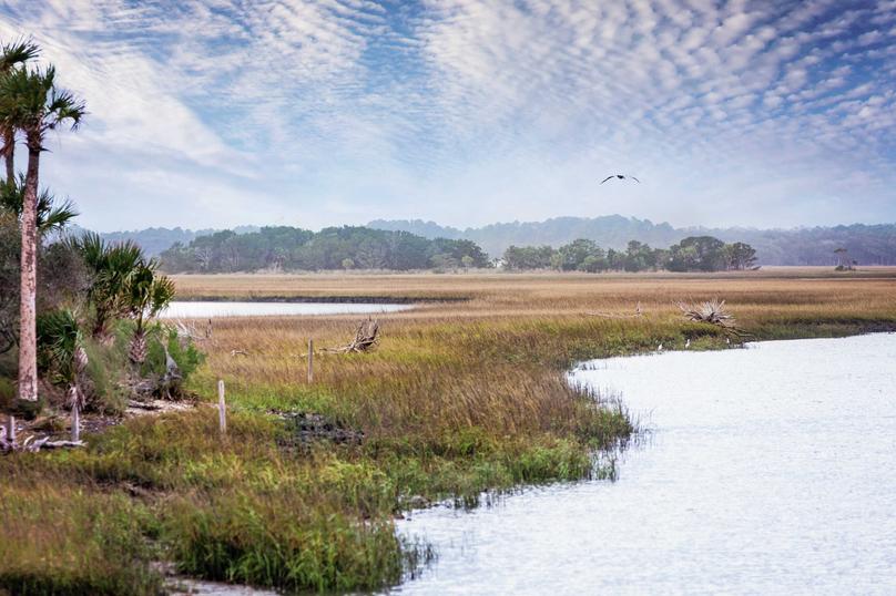 New Construction Homes at Southern Pines Terrata Homes