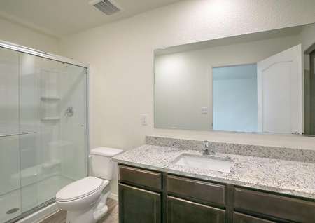 Master bath with walk-in shower, granite countertops and an attached walk-in closet.