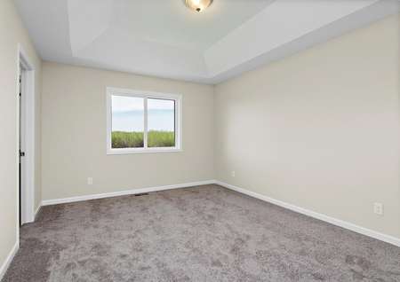 Photo of a carpeted upstairs master bedroom with a tray ceiling and window overlooking the backyard.