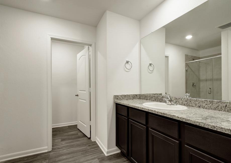The master bedroom showcases a large vanity, dual shower and bathtub, and a walk-in closet.