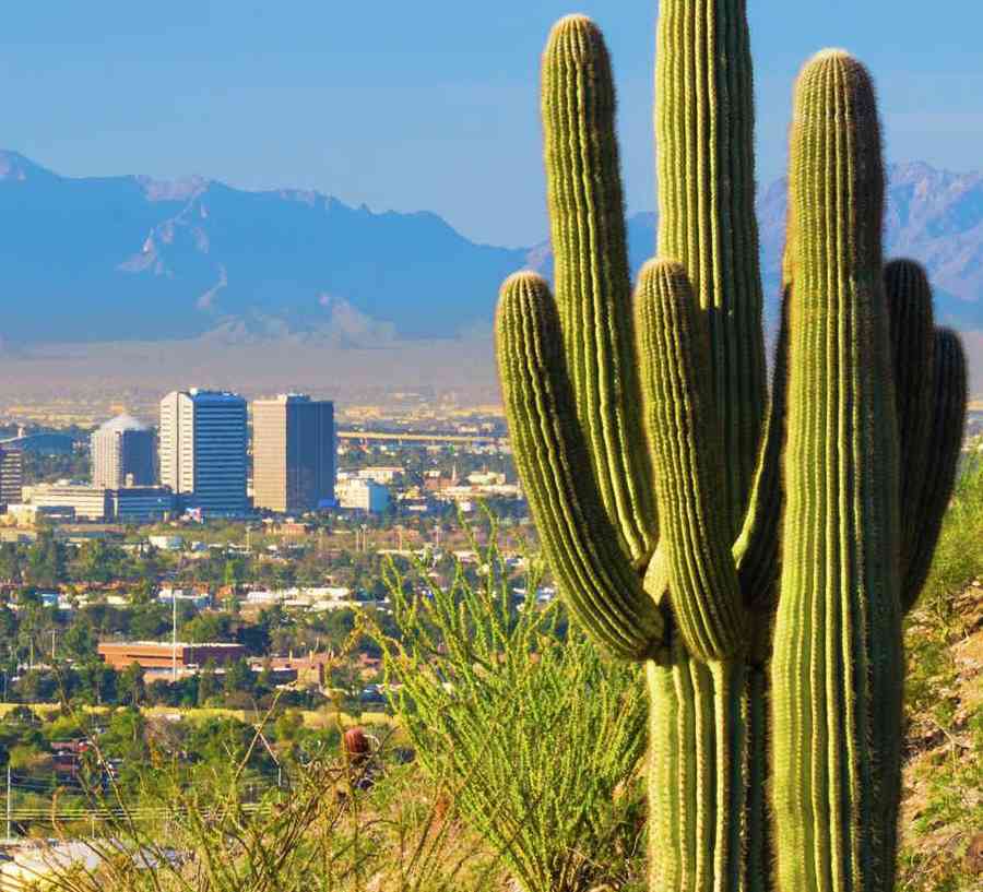 Phoenix, Arizona skyline with saguaro cacti, city skyscrapers, and South Mountain in the background