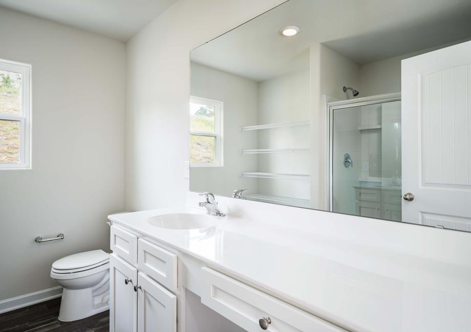 Master bathroom with sprawling vanity, quartz countertop, white cabinetry, vinyl floors and a walk-in shower.