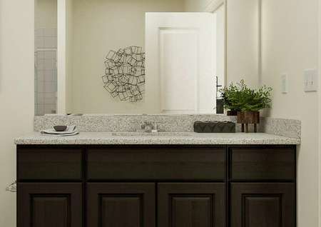 Rendering of the master bath focused on
  the brown cabinet vanity with spacious countertop, mirror and white toilet.