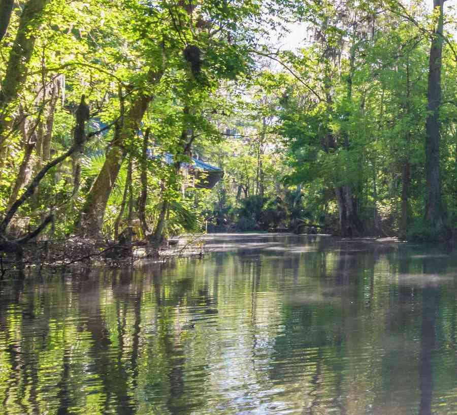 Silver River at Silver Springs State Park kayakers moving along the calm waters covered in overgrown lush trees