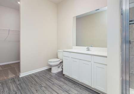 Spacious bathroom with a step-in shower and a walk-in closet are located in the owner's retreat. 