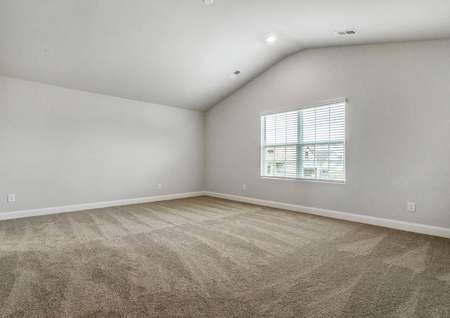 Master bedroom with carpet and a window.