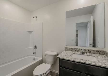 Guest bathroom with granite countertops and a dual shower and tub.