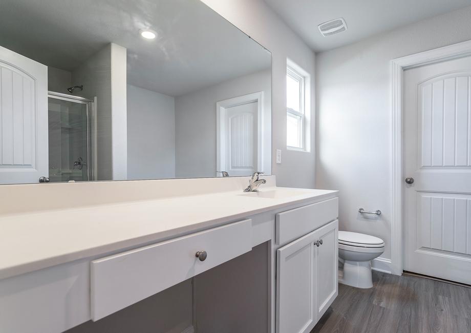 Master bathroom with a large vanity and vinyl flooring.