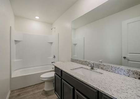 Secondary bathroom with granite countertops and a dual shower and tub.