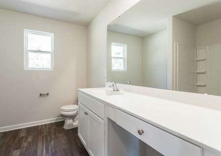 Alexander guest bathroom with large vanity, wood flooring, and white trim