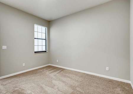 Patricio finished interior with carpet floors, white trim walls, and window with white frame