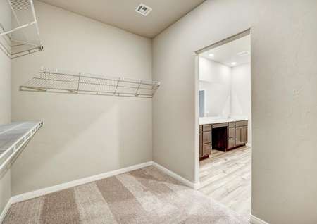A massive walk-in closet is connected to the master bathroom.