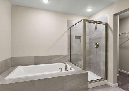 Master bathroom with soaking tub and step in shower