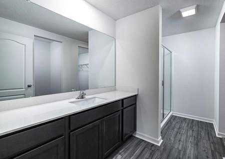 Full master bathroom with large countertop space, a step-in shower and a walk-in closet. 