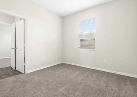 Carpeted guest bedroom with one window. 