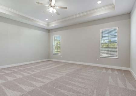 The spacious master bedroom features a tray ceiling, tan walls, carpet and two windows.