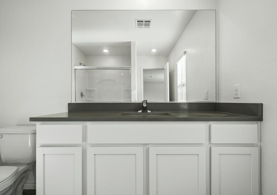 The master bathroom with a large vanity and a step in shower