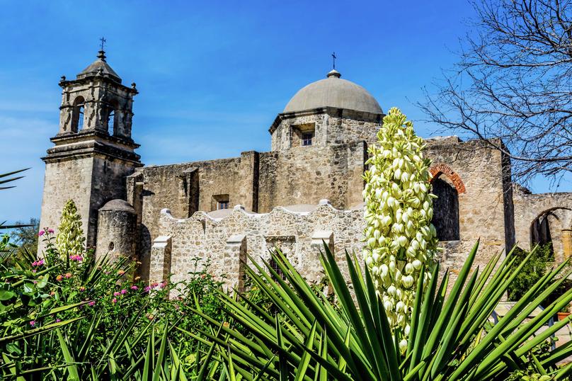 San Antonio, Texas Spanish Mission San Jose built in 1720 showing a white Yucca flower blooming in the forefront, stone walls, and stone bell tower