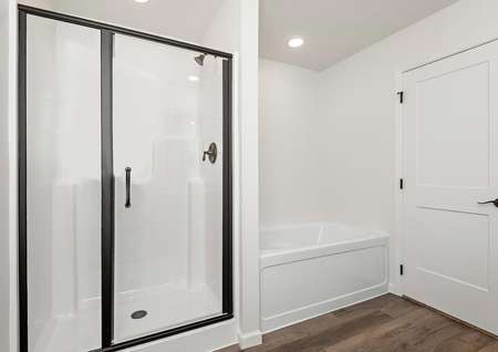The master bathroom has a separate step in shower and bathtub