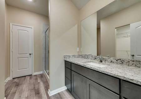 St. Clair master bathroom with granite counter, undermount sink, and walk in shower stall