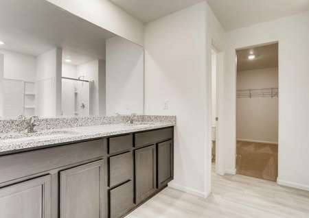 Master bath with granite countertops, espresso cabinets, and a walk-in closet.