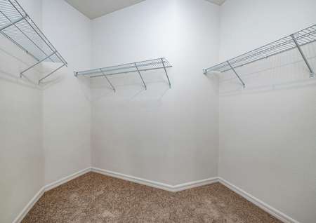 Large walk-in closet with a great amount of storage space.