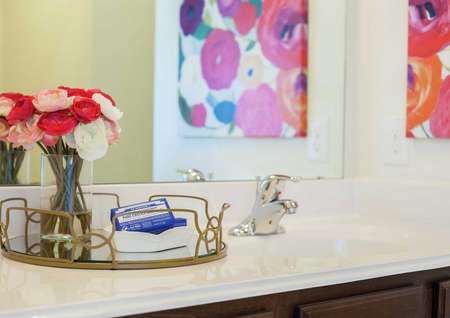 Driftwood bathroom in model home staged with white and red carnations and towels on a gold trim tray and a painting in the mirror's reflection