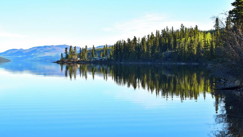 A clear morning reflection of the forest and mountains in a calm lake or river.