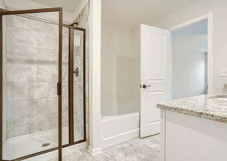 Beautiful master bathroom with tub and walk in shower