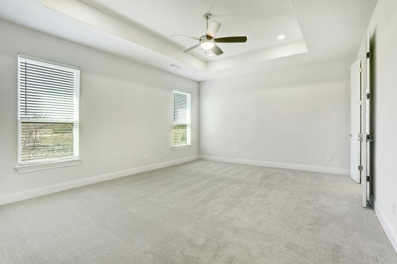 The master suite offers light gray carpet, a tray ceiling and back yard views.