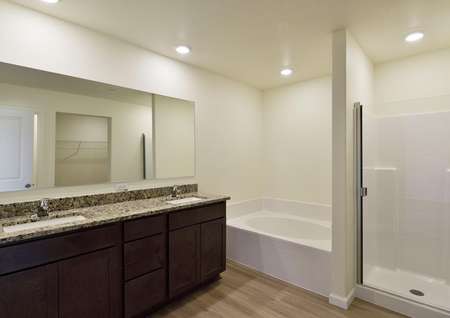 Primary bathroom featuring an extended vanity with two sinks and polished granite countertops, a soaker tub and step-in shower. 
