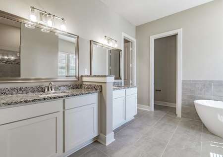 Master bath with dual-sink vanity, granite countertops and a standalone tub.