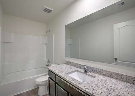 Guest bathroom with granite countertops and a dual shower and bathtub.