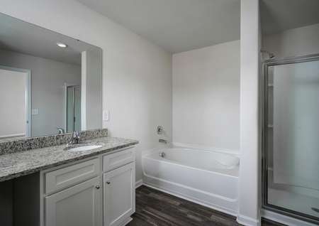 Master bathroom with a large vanity, vinyl flooring and a walk-in shower.